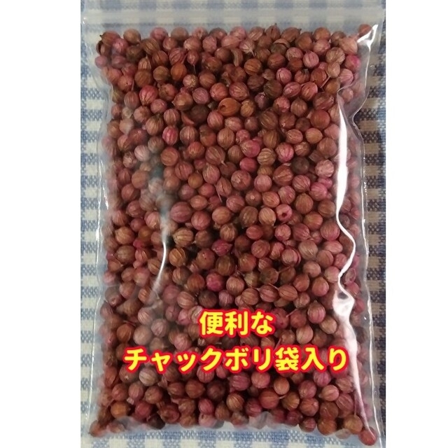 パクチー種22g【2000粒以上】★香りが違う本場ベトナム産・増量サービス中 食品/飲料/酒の食品(野菜)の商品写真