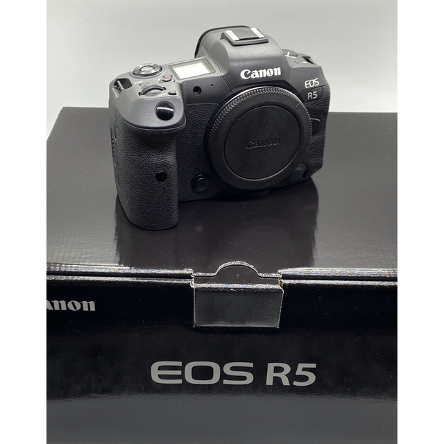 ブラックフライデー27日まで28→26万【美品】Canon EOS R6 ボディ