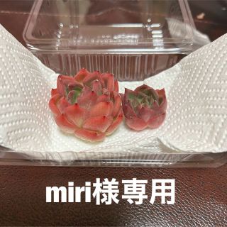 miri様専用(その他)