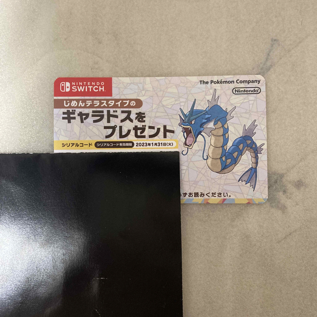 ポケモンSV じめんテラスタイプ　ギャラドス ジャンプフェスタ2023 配布 エンタメ/ホビーのゲームソフト/ゲーム機本体(家庭用ゲームソフト)の商品写真