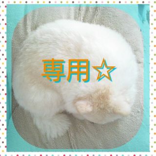 Riomam様専用✨Thank you✨ミニチャック袋３種＆厚いタイプＳ100P(ラッピング/包装)