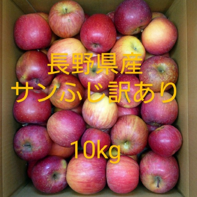 W-5 サンふじ訳あり10kg 長野県産りんご 食品/飲料/酒の食品(フルーツ)の商品写真