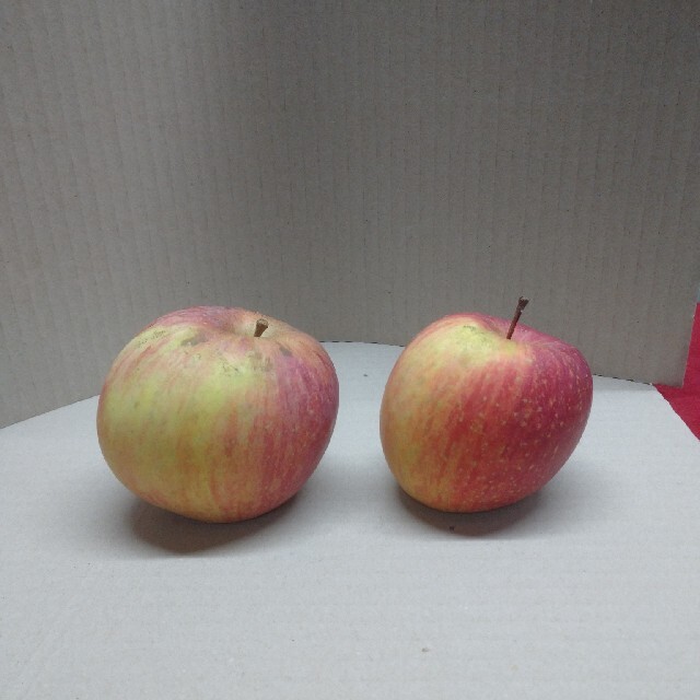 W-5 サンふじ訳あり10kg 長野県産りんご 食品/飲料/酒の食品(フルーツ)の商品写真