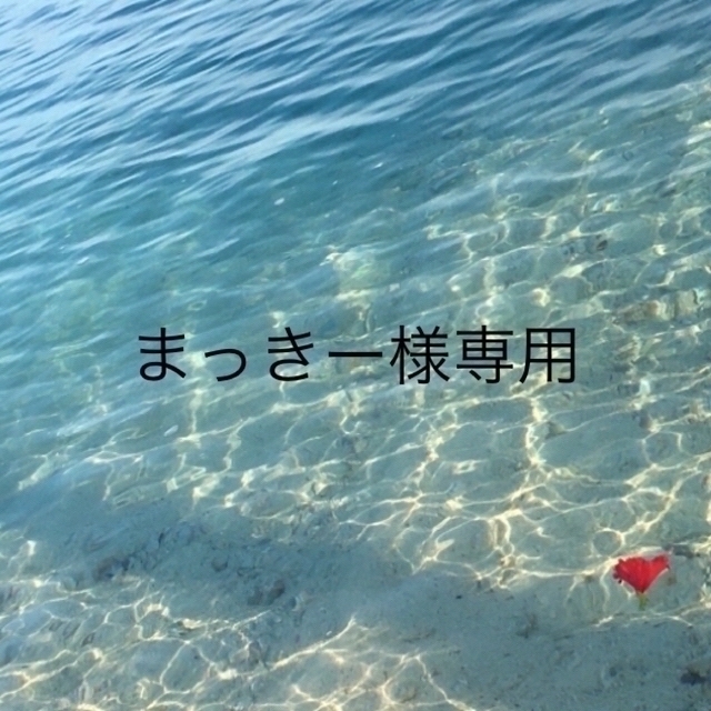 まっきー様専用 - luxteb.com