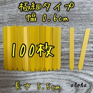 イエロー　他　多肉植物 アガベ サボテンに◎ 園芸用 ラベル ネームラベル(その他)