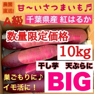 千葉県産サツマイモ　熟成紅はるか　bigサイズ　10kg ＊5kg×2箱(野菜)