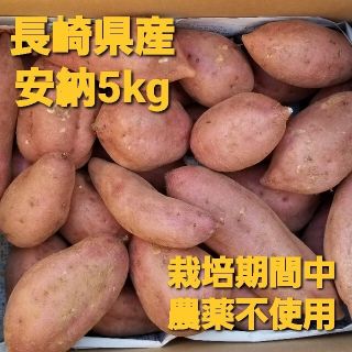 長崎県産さつまいも安納5kg栽培期間中農薬不使用(野菜)