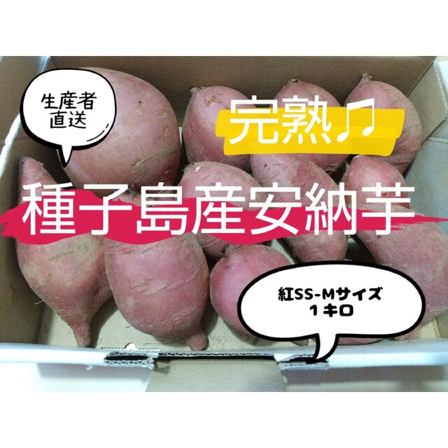 種子島産安納芋紅SS-Mサイズ１キロ 食品/飲料/酒の食品(野菜)の商品写真