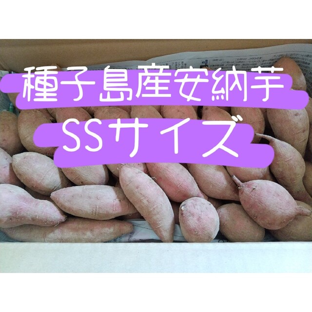 種子島産安納芋SSサイズ5キロ 食品/飲料/酒の食品(野菜)の商品写真