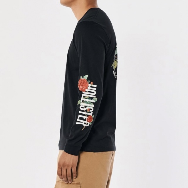 Hollister(ホリスター)の大人気★Hollister【L】 最新作のビッグバックプリントロンT メンズのトップス(Tシャツ/カットソー(七分/長袖))の商品写真