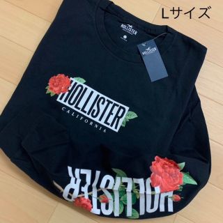 ホリスター(Hollister)の大人気★Hollister【L】 最新作のビッグバックプリントロンT(Tシャツ/カットソー(七分/長袖))