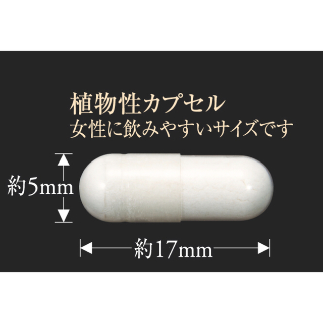 正規品　お得　エステプロラボ　プロトングランプロ60粒　1箱 食品/飲料/酒の健康食品(その他)の商品写真