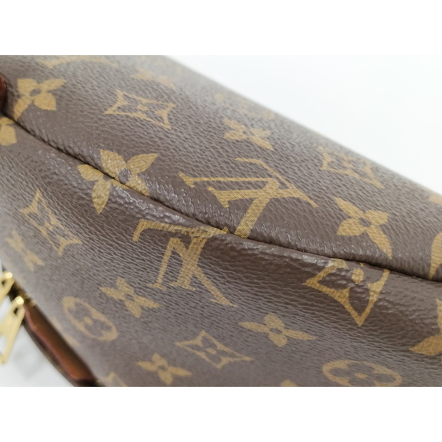 LOUIS VUITTON(ルイヴィトン)のLOUIS VUITTON バムバッグ ボディバッグ ウエストバッグ ブラウン メンズのバッグ(ボディーバッグ)の商品写真