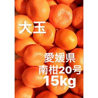 愛媛県産　南柑20号　みかん　柑橘　　15kg