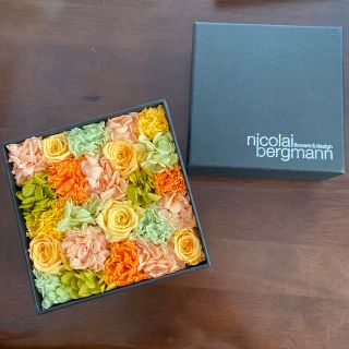 購入激安 Nicolai Bergmann ニコライバーグマン プリザーブド フラワー