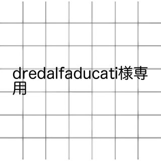 dredalfaducati様専用(その他)