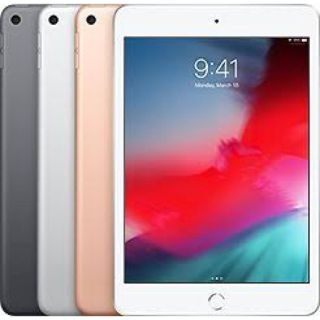 ゆーや専用 iPadmini 5 (2019) Wi-Fiモデル256GB