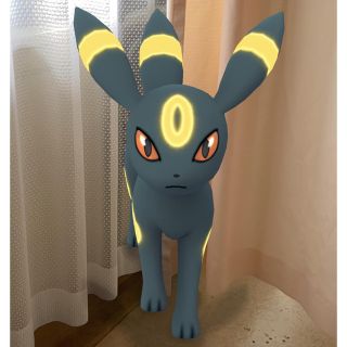 ポケモン(ポケモン)のおあげ様　専用(家庭用ゲームソフト)