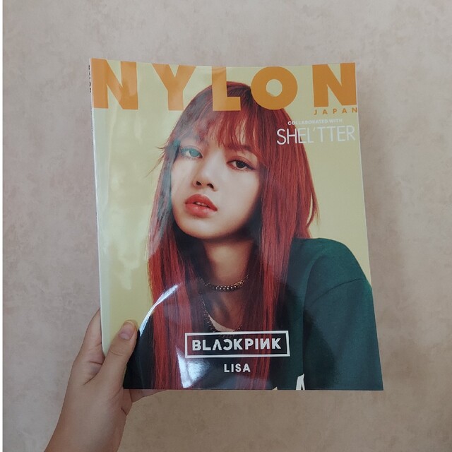 NYLON JAPAN (ナイロンジャパン) 雑誌 エンタメ/ホビーの本(その他)の商品写真