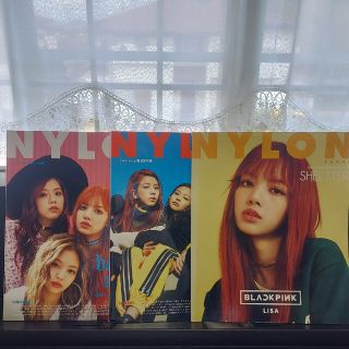 NYLON JAPAN (ナイロンジャパン) 雑誌(その他)