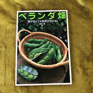 ベランダ畑 庭がなくても野菜が作れる！(趣味/スポーツ/実用)