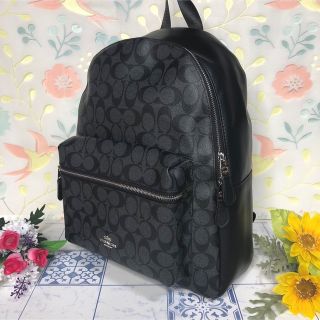 コーチ(COACH)のコーチ　リュック　大人気　バックパック　グレー　【新品】(リュック/バックパック)