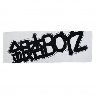 新品未開封 銀杏BOYZ タオル(ミュージシャン)