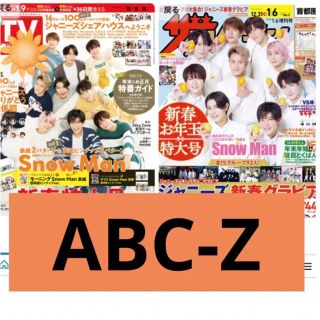 エービーシーズィー(A.B.C-Z)の専用　ザテレビジョン　TVガイド　ABC-Z 切り抜き(アート/エンタメ/ホビー)