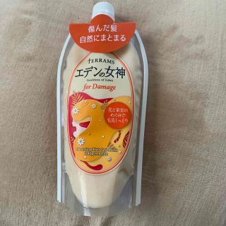 イシザワケンキュウジョ(石澤研究所)のテラムス エデンの女神 for ダメージ(280g)(トリートメント)