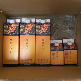 フィネス(Finess)の【新品・未開封】豊潤サジー1000ml×3本、300ml×2本 計5本セット(その他)