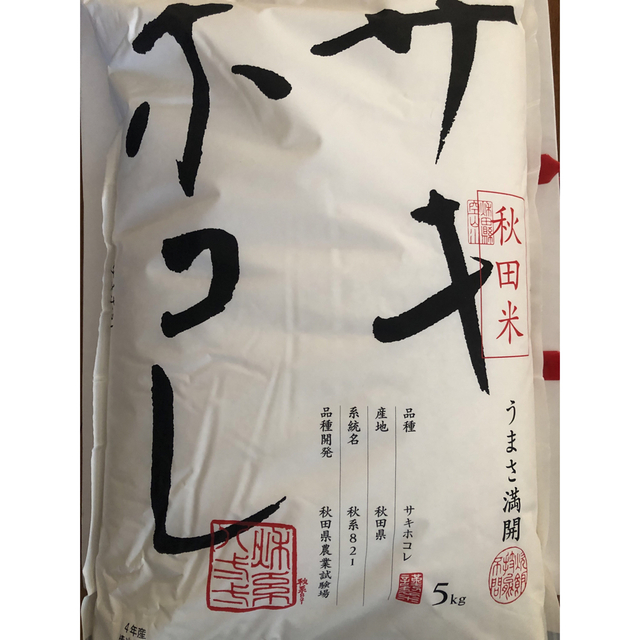 白米　5kg×2袋　米/穀物　サキホコレ　お米