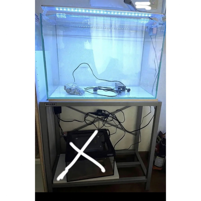 GEX ガラス水槽 /ニッソー 2段 60㎝ 水槽台セット - alfursancont.com