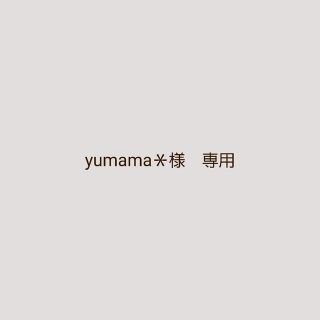 yumama＊ 様　専用ページです(その他)