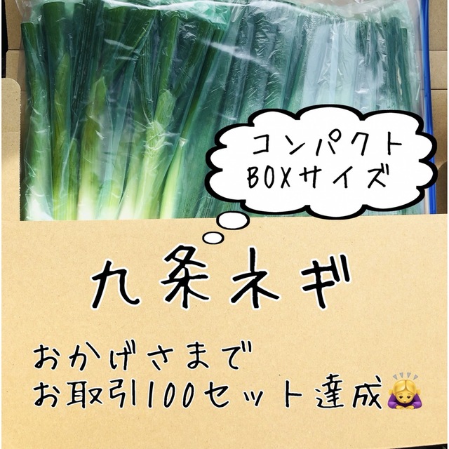 \半額SALE/ 野菜 九条ネギ