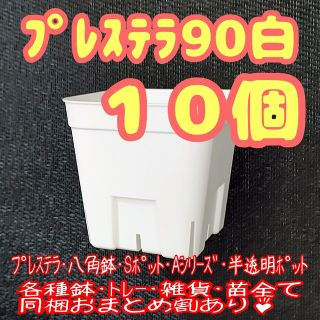 【スリット鉢】プレステラ90白10個 多肉植物 プラ鉢0(プランター)