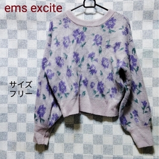 エムズエキサイト(EMSEXCITE)のems excite ニットセーター ☆サイズフリー☆(ニット/セーター)
