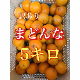 紅まどんな　あいか　愛媛県産　訳あり　5キロ(フルーツ)