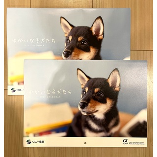 ソニー生命　2023子犬カレンダー(カレンダー/スケジュール)