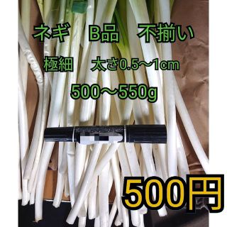 ✳️ワンコイン✳️白ネギＢ品500〜550g程度　極細　常温発送(野菜)