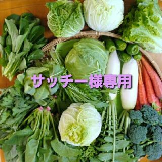 サッチー様専用ページです(野菜)