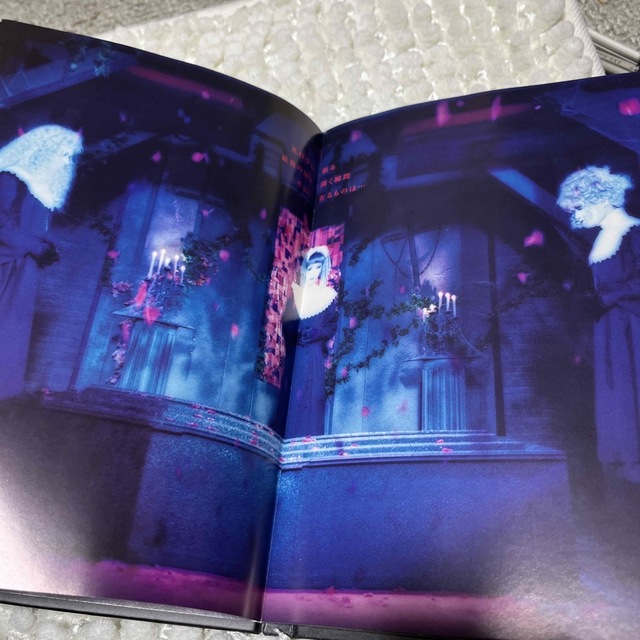 薔薇の聖堂　MALICE MIZER 廃盤CD アルバム 3