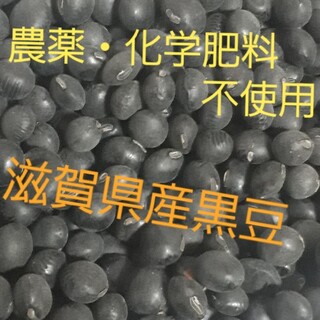 【送料無料】令和4年度滋賀県産　農薬・化学肥料不使用　黒豆1000g　(米/穀物)