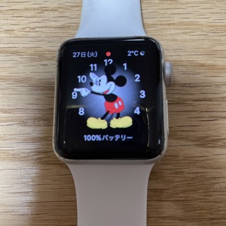 Apple Watch Series 3 Cellular38mm おまけ多数