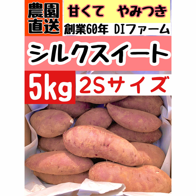 千葉県産さつまいも　熟成シルクスイート  2sサイズ 5kg 食品/飲料/酒の食品(野菜)の商品写真