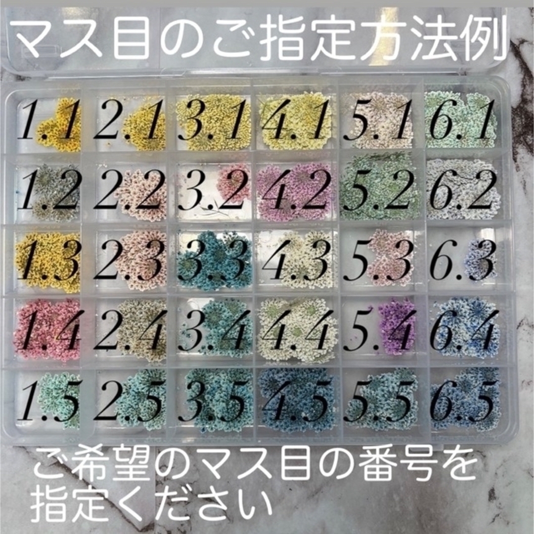 押し花 10枚単位 お好きなのお選べます 003 素材 レースフラワー　おし花 2