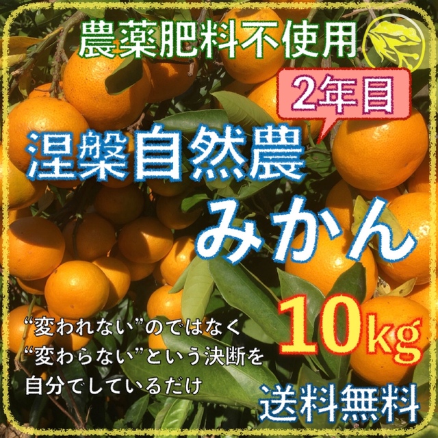 自然農みかん10kg 6年目 農薬肥料不使用 自然農法 海乃蛙自然農園自然 ...