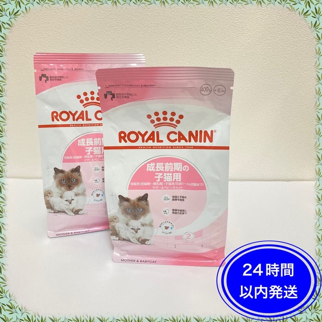 ROYAL CANIN ロイヤルカナン キトン [グレービー 48袋]