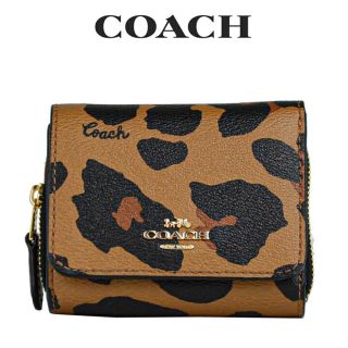 COACH コーチ　ショルダーバッグ長財布　ブラウンブラックレオパード豹柄