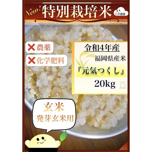 準自然米　福岡県産「元気つくし」令和４年産　玄米20kg  発芽玄米におすすめ化学肥料不使用