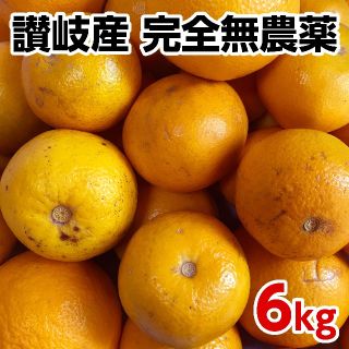 香川県産 八朔6kg《はっさく 無農薬 訳あり アロマ 美容 風呂 みかん》(フルーツ)